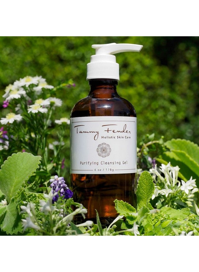 tammy fender Natural Purifying Cleansing Gel | Clean Nontoxic Plantbased Skincare (6 Fl Oz | 178 G) - Image 2