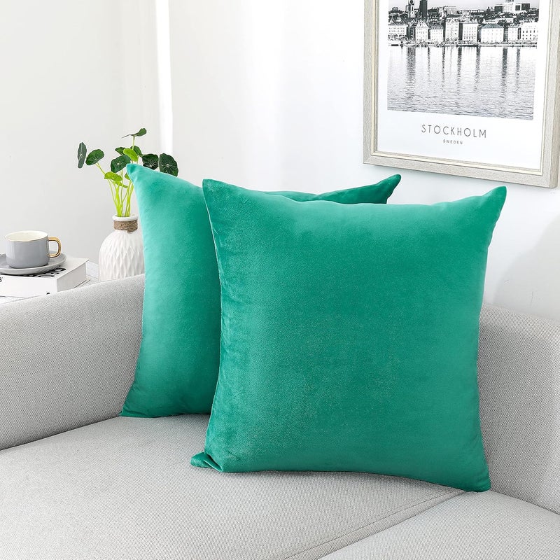 NiNi ALL Decorative Throw Pillow Covers Velvet Soft for Couch Sofa Bedroom Living Room Outdoor Pack of 2 20x20 Inch Aqua Green - Image 1
