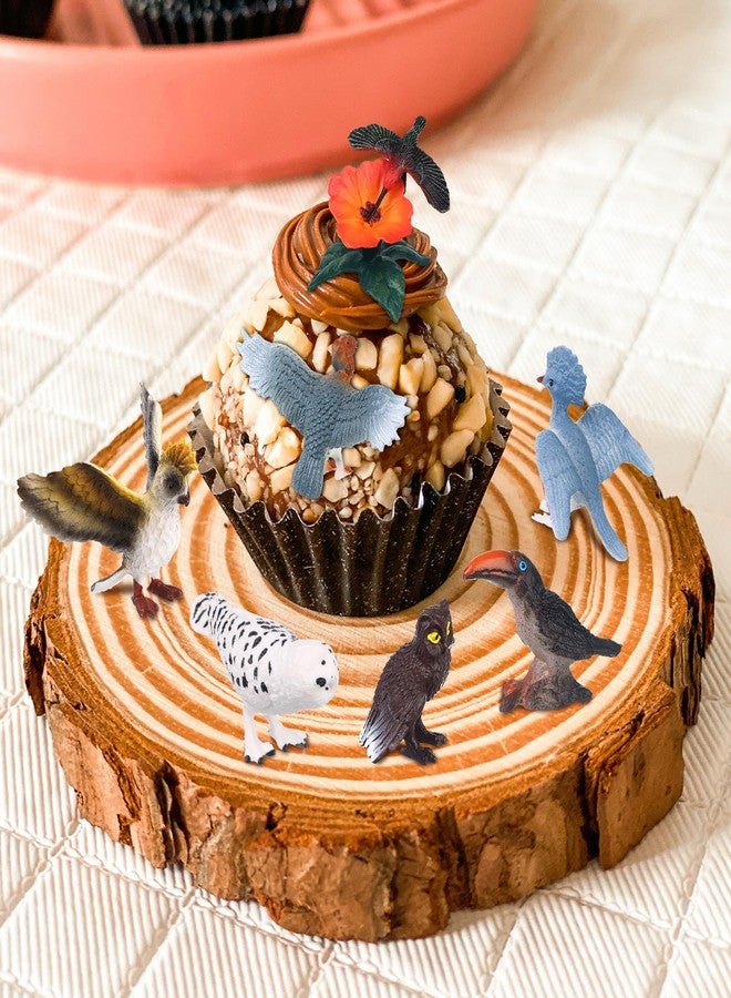 Warmshine 24 Pcs Realistic Bird Animals Figurines Mini Bird Figures Model Eagle Parrot Robin Owl Plastic Birds Figures Fairy Garden Accessories Dollhouse Birthday Cake Toppers - Image 5