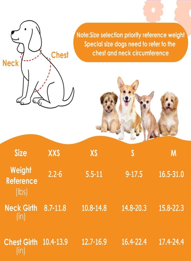 Lukovee Puppy Harness and Leash Set, No Pull Lightweight Soft Suede Adjustable Pet Harness Vest with Snap Buckle for Puppy Small and Medium Size Dog (Flower-XXS) - Image 2