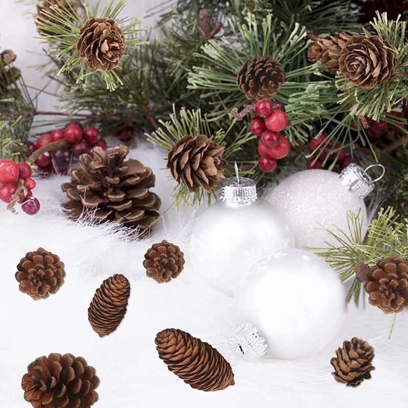 Jangostor 40 PCS Pine Cones Decorations  Natural Pine Cones Bulk Package - Large Medium and Mini Size Rustic Pine cone Ornaments for Table Christmas Tree Crafts Gifts Halloween Thanksgiving Home Decor - Image 2