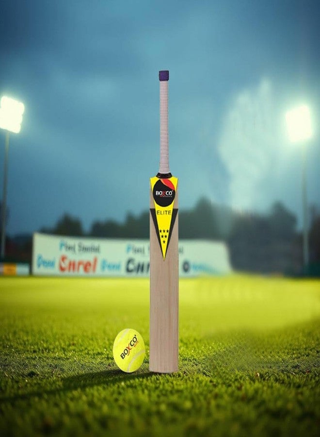 BOXCO Elite Wooden Cricket Bat and Tennis Ball (Age Group 9 to 12) - Image 1