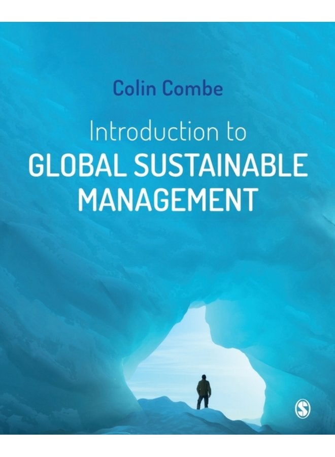 Introduction to Global Sustainable Management - Paperback