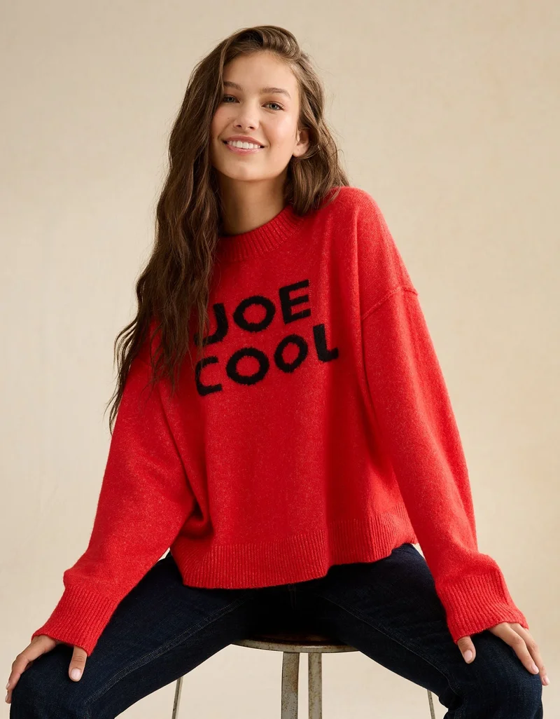 AE Whoa So Soft Joe Cool Graphic Sweater