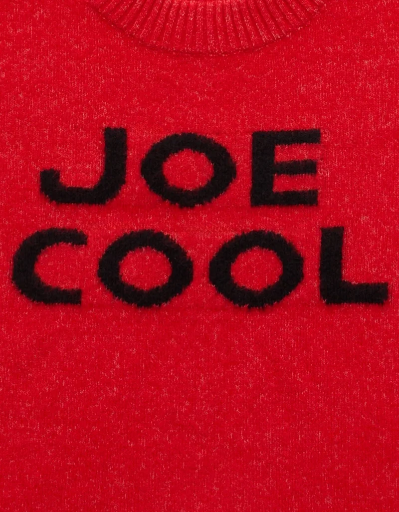 American Eagle  AE Whoa So Soft Joe Cool Graphic Sweater for Women | Best Price UAE