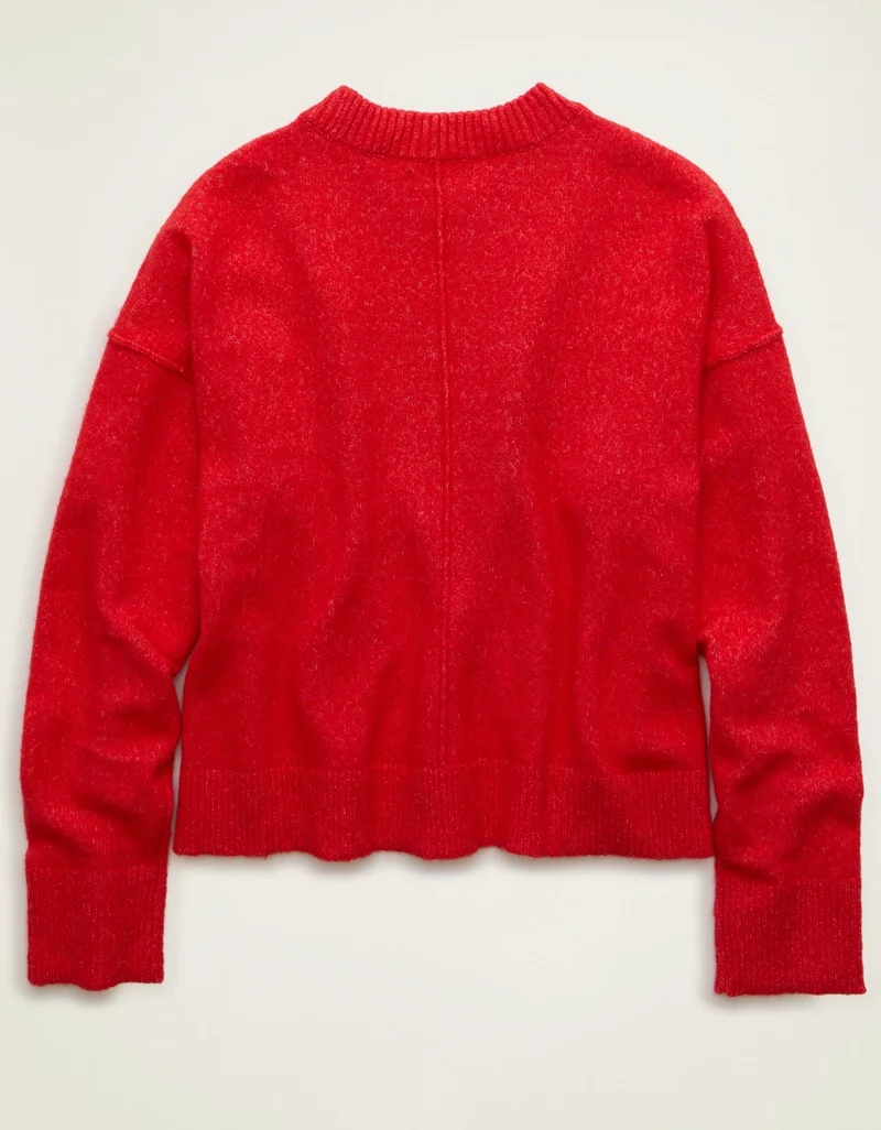 American Eagle  AE Whoa So Soft Joe Cool Graphic Sweater for Women | Best Price UAE