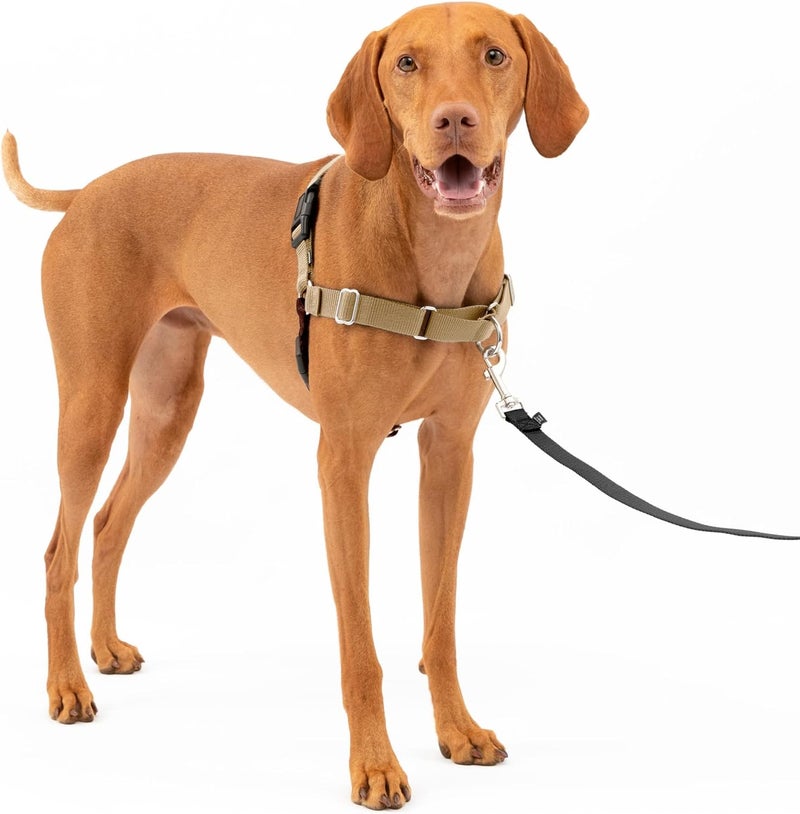 PetSafe Easy Walk No-Pull Dog Harness - Medium Size in Fawn/Brown - Image 1