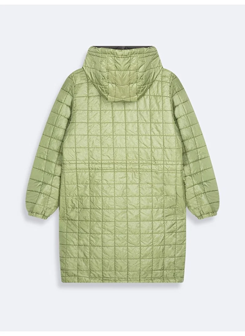 إل تي بي Green Coat