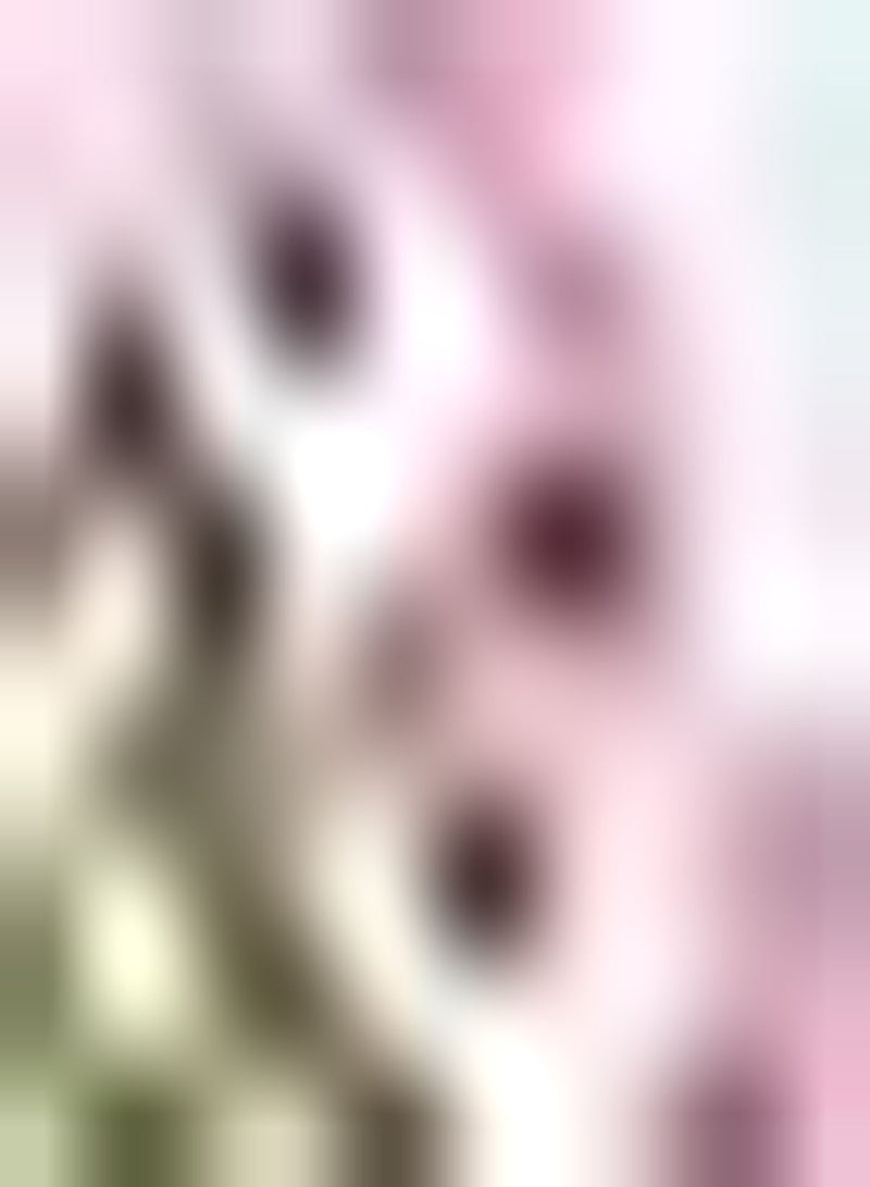 GGOOT 2 rosafarbene Amaryllis Zwiebeln haben EIN verlockendes Aroma Pflegeleicht Voller Exotik Ernten Sie das ganze Jahr über schöne Blumen Geeignet für Anfänger - Image 1