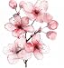 MAKTEM White Cherry Blossom Car Sticker Decal Sakura Blossom Flower Branch Tree Car Decor for Window Bumper Mirror Watercolor Blossom Vine Flower Sticker 1PC 2 - Image 2