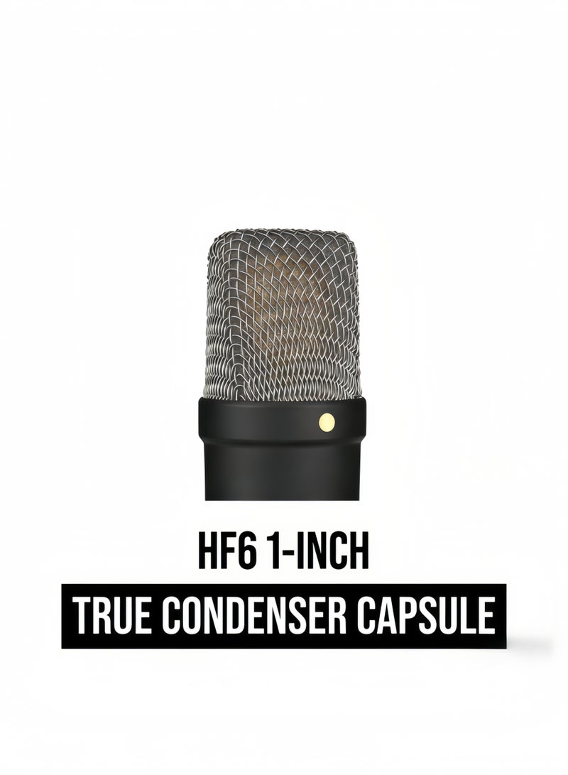 رود ميكروفون مكثف الحجاب الحاجز الكبير من سلسلة توقيع RØDE NT1، مع حامل تأثير ومرشح شائع وكابل XLR، لإنتاج الموسيقى والتسجيل الصوتي وتدفق الوسائط والبودكاست (أسود) - Image 2