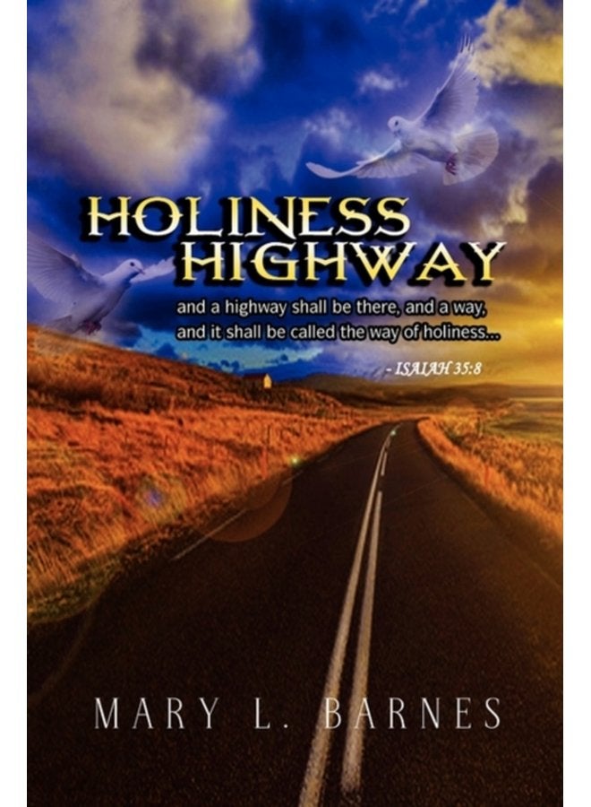 Holiness Highway - Hardback