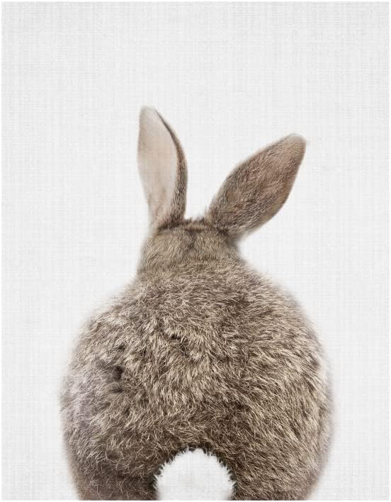 Canvas Bunny Wall Art Nursery DecorBunny Rabbit Pictures Wall Decor for Nursery Rabbit Wall Art DecorBunny Prints Wall Art Decor Neutral for Baby Nursery Girls Boys11 X 14UNFRAMED - Image 5