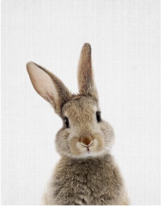 Canvas Bunny Wall Art Nursery DecorBunny Rabbit Pictures Wall Decor for Nursery Rabbit Wall Art DecorBunny Prints Wall Art Decor Neutral for Baby Nursery Girls Boys11 X 14UNFRAMED - Image 4