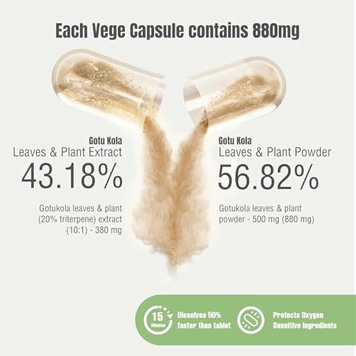 Herbsforever Gotu Kola (Centella Asiatica)-Extra Strength(10:1) Extract Equiv. to 4300 mg Leaves & Plant Powder Per Serving Support Cognitive,Memory Focus,Calm,Skin |60Veg Capsules|800mg|Adaptogen - Image 2