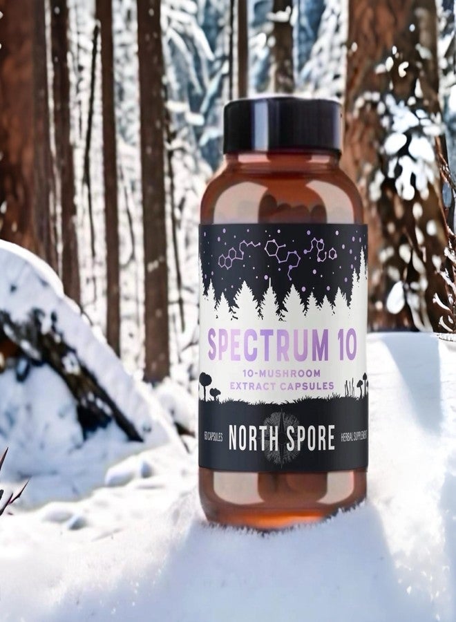 North Spore كبسولات فطر "سبكتروم 10" العضوية عالية الفعالية من نورث سبور | مكمل غذائي لتحسين الوظائف الإدراكية | عرف الأسد، تشاغا، كورديسيبس، ريشي، ذيل الديك الرومي | 10 أنواع من الفطر الطبي | طاقة، تركيز، صفاء ذهني - 60 كبسولة - Image 4