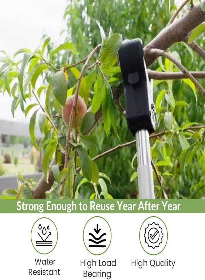 Kalinar Tree Support - DIY Tree Crutch - Plastic, Black, Round, Fits Standard 2x2 Lumber, T-bar, Bamboo, Wood Stakes, Broom Pole, Supports Plants & Trellis, Reusable, Holds Branches Up to 3" Diameter - Image 4