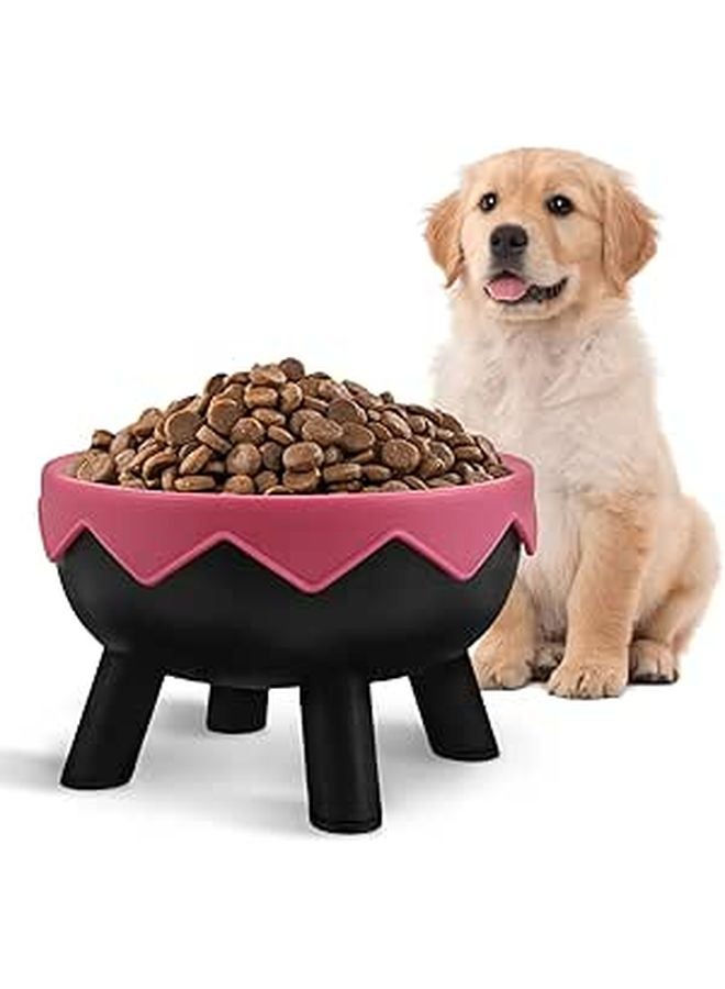 Non Slip Elevated Pet Feeder Bowl Anti Spill Tilted Stand For Cats And Small Dogs - Image 1