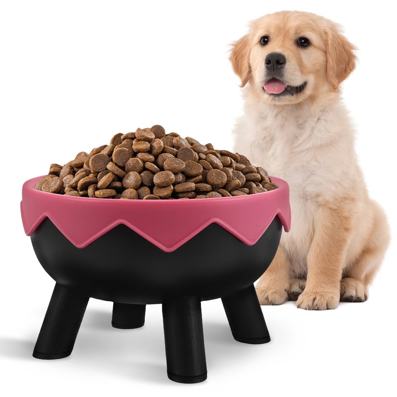 Non Slip Elevated Pet Feeder Bowl Anti Spill Tilted Stand For Cats And Small Dogs - Image 2