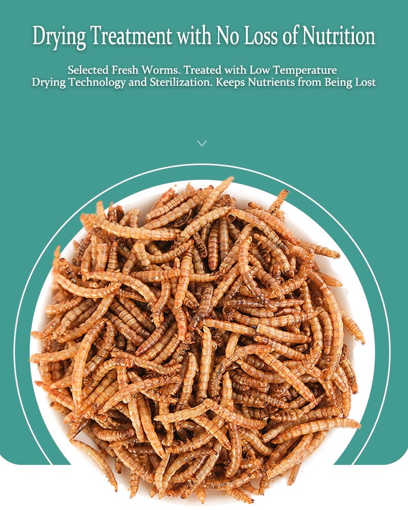Reptile Food Dried Mealworms Pet Worms Food for Bearded Dragon, Lizard, Turtles, Chameleon, Monitor, Frog, Sugar Glider, Chickens, Birds, Hamsters and Hedgehogs (3.5 OZ) - Image 2