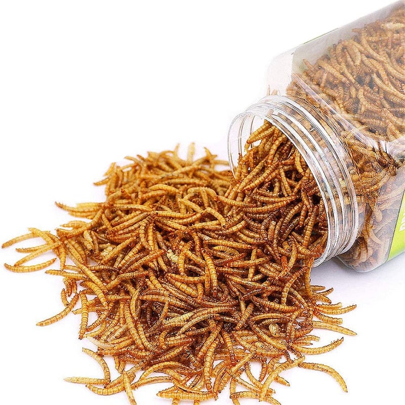 Reptile Food Dried Mealworms Pet Worms Food for Bearded Dragon, Lizard, Turtles, Chameleon, Monitor, Frog, Sugar Glider, Chickens, Birds, Hamsters and Hedgehogs (3.5 OZ) - Image 1