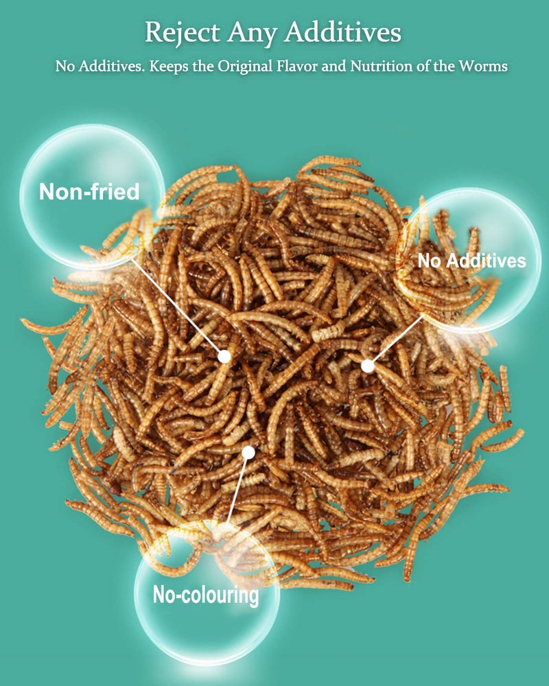 Reptile Food Dried Mealworms Pet Worms Food for Bearded Dragon, Lizard, Turtles, Chameleon, Monitor, Frog, Sugar Glider, Chickens, Birds, Hamsters and Hedgehogs (3.5 OZ) - Image 3