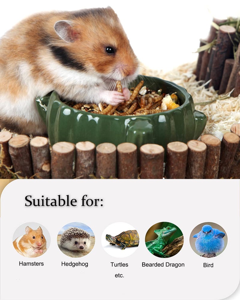 Reptile Food Dried Mealworms Pet Worms Food for Bearded Dragon, Lizard, Turtles, Chameleon, Monitor, Frog, Sugar Glider, Chickens, Birds, Hamsters and Hedgehogs (3.5 OZ) - Image 5