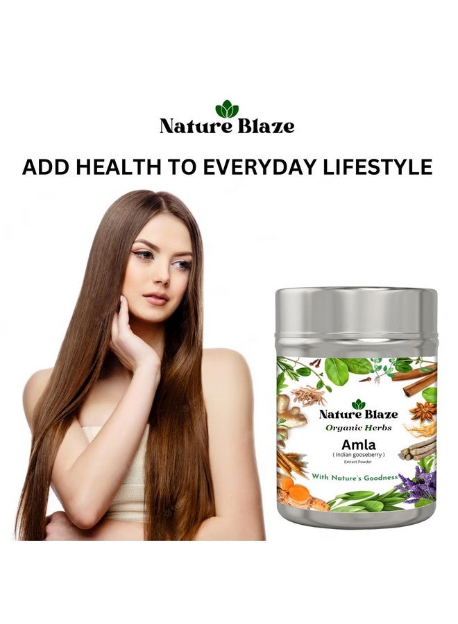 Nature Blaze Organic Herbs Pure 100% Herbal, Natural & Authentic (Amla Extract Powder Tin-Box 125GM/4.5 Oz) - Image 4