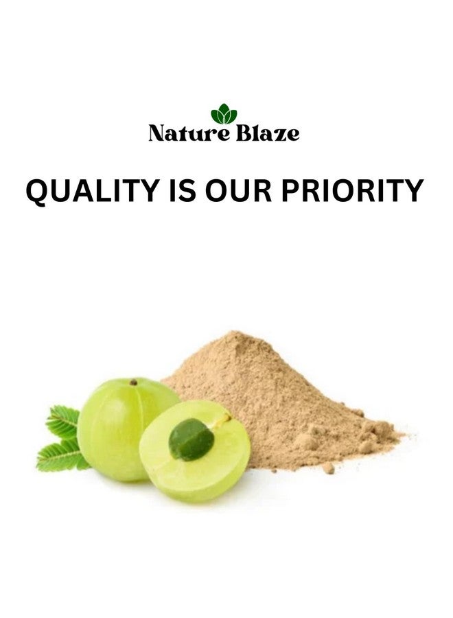 Nature Blaze Organic Herbs Pure 100% Herbal, Natural & Authentic (Amla Extract Powder Tin-Box 125GM/4.5 Oz) - Image 5