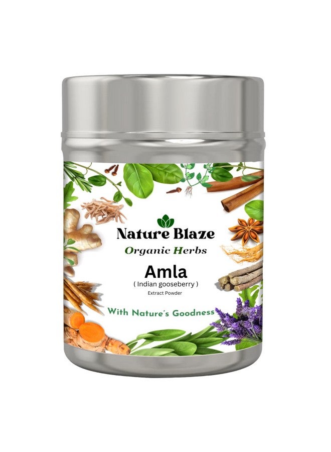 Nature Blaze Organic Herbs Pure 100% Herbal, Natural & Authentic (Amla Extract Powder Tin-Box 125GM/4.5 Oz) - Image 2