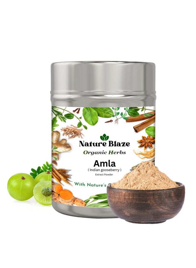 Nature Blaze Organic Herbs Pure 100% Herbal, Natural & Authentic (Amla Extract Powder Tin-Box 125GM/4.5 Oz) - Image 1