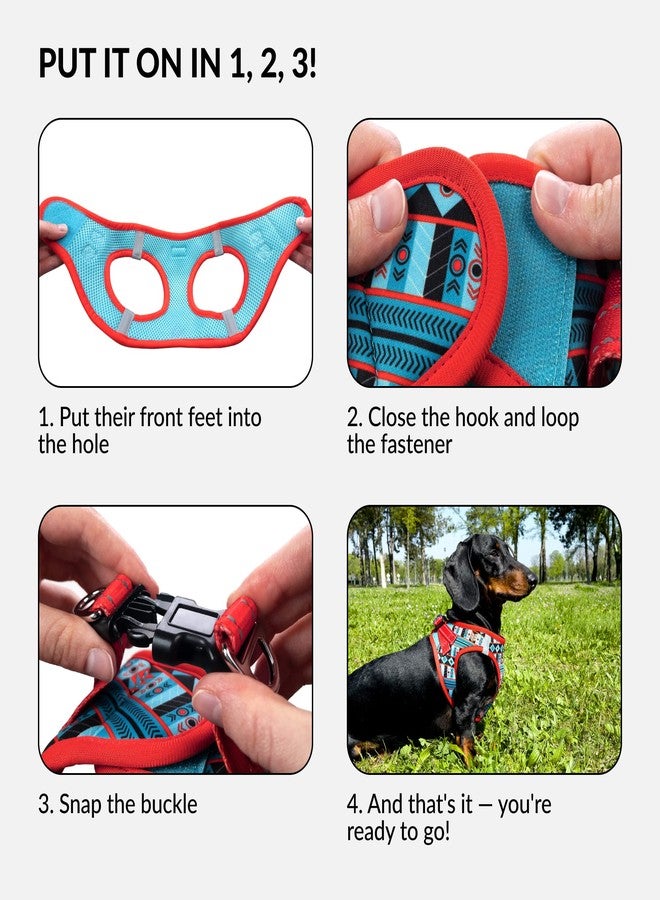 CollarDirect Step-in Reflective Dog Harness - Any Weather Air Mesh for Small and Medium Dogs Easy to Put On and Off 3 Patterns (Size M, Pattern 1) - Image 4