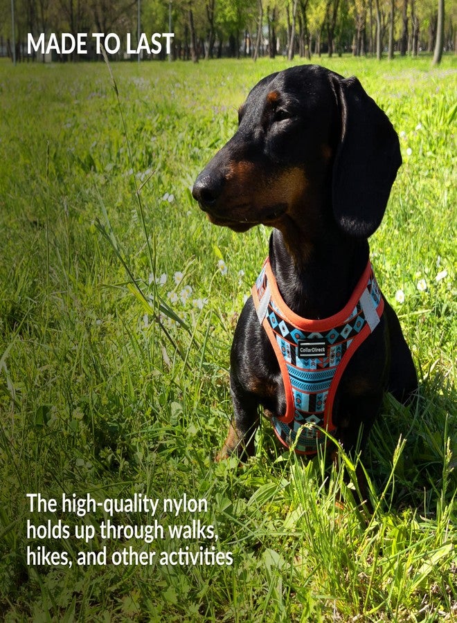 CollarDirect Step-in Reflective Dog Harness - Any Weather Air Mesh for Small and Medium Dogs Easy to Put On and Off 3 Patterns (Size M, Pattern 1) - Image 5