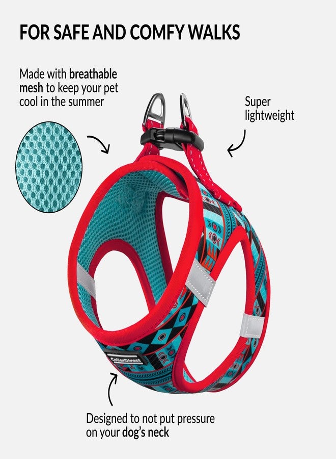 CollarDirect Step-in Reflective Dog Harness - Any Weather Air Mesh for Small and Medium Dogs Easy to Put On and Off 3 Patterns (Size M, Pattern 1) - Image 2