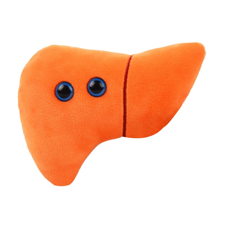 GIANT MICROBES Stuffed Liver Plush Liver Stuffed Animal Anatomical Model Hepatologist Gift Organ Transplant Gifts Hepatitis Hepatology Cirrhosis Gift Liver Pillow Organ Donor Gifts - Image 2
