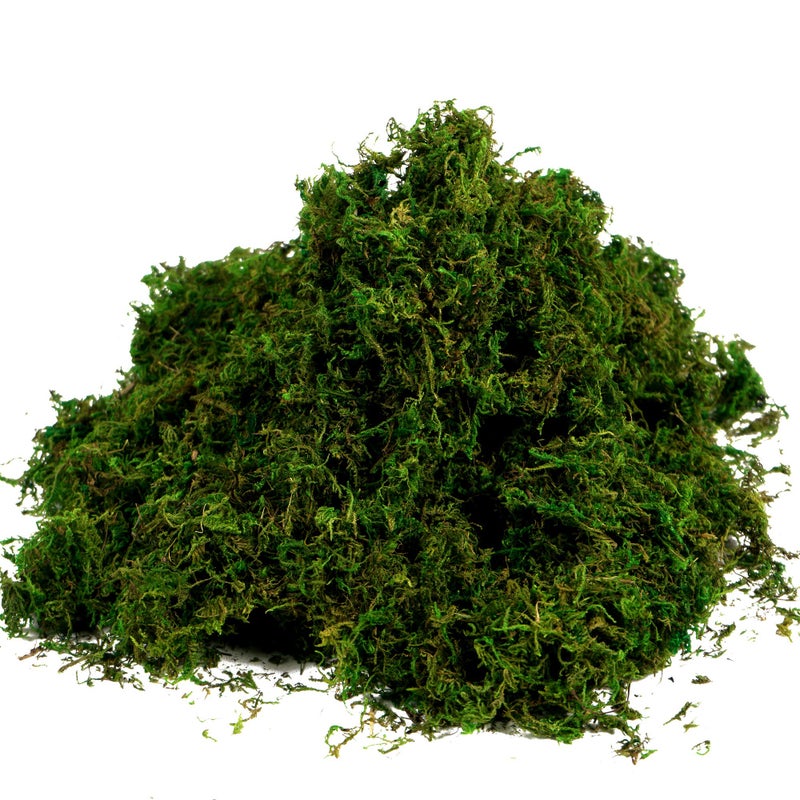 BYHER Artificial Moss Fake Green Grass for Centerpieces Home Kitchen Garden Decor (3.5OZ, Fresh) - Image 1