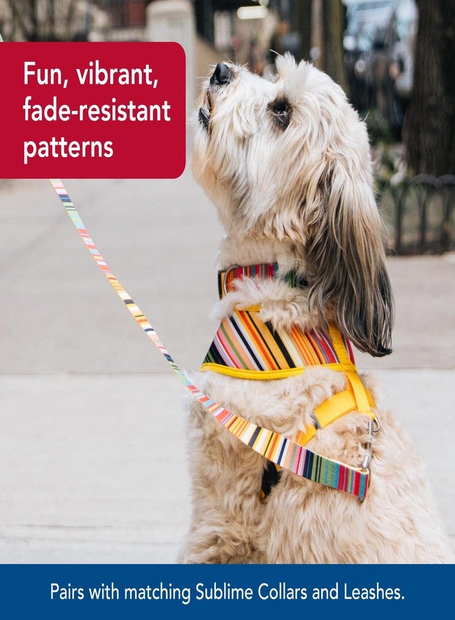 كوستال سرج كلاب قابل للعكس من كوستال بيت سوبلايم - مقاس قابل للتعديل مع سهولة الاستخدام من فوق الرأس - متانة استثنائية - تصميم سوبلايم مخطط مع مربعات ذهبية، مقاس صغير جدًا - 5/8 بوصة × 14 بوصة - 16 بوصة - Image 3