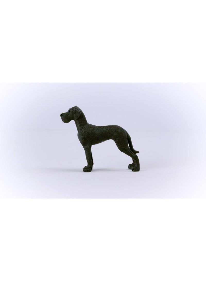 Schleich عالم المزرعة من شلايش، ألعاب حيوانات للأولاد والبنات، تمثال لعبة كلب الدانماركي الكبير، للأعمار من 3 سنوات وما فوق - Image 5