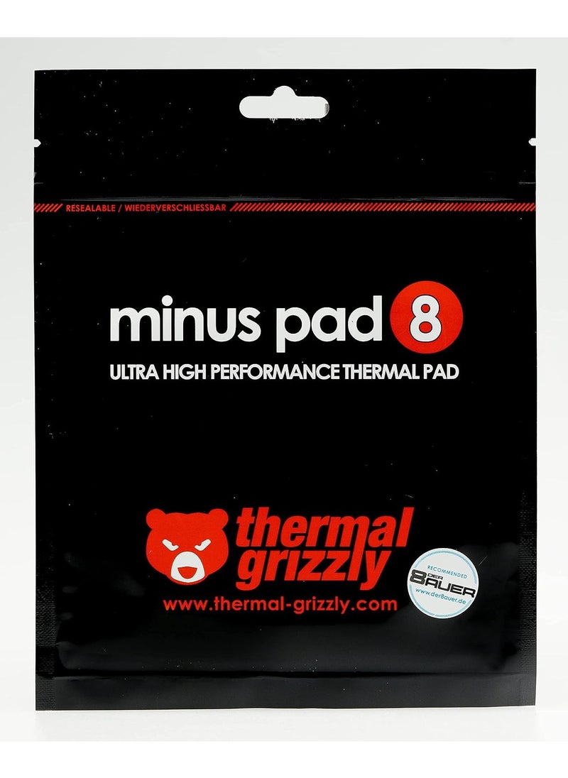 Thermal Grizzly Minus Pad Extreme - 100x 100x 1,0 mm