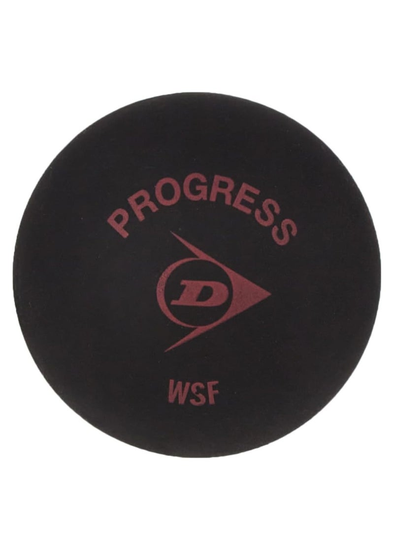 Dunlop Sports Dunlop Progress Squash Ball - 12 Pack | Intermediate Training & Game Ball | Enhanced Bounce & Control | Official Tournament Quality | Durable Rubber  - Image 1