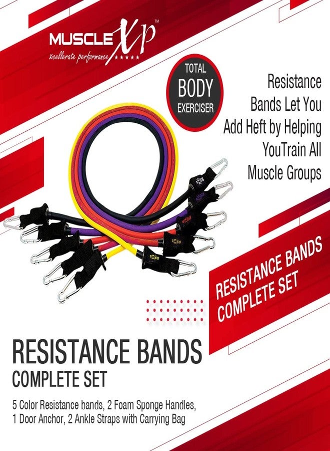 ماسل إكس بي مجموعة MuscleXP DrFitness+ الكاملة من 11 حزام مقاومة، 5 أحزمة مقاومة ملونة، مقبضان من الإسفنج، مثبت باب، حزامان للكاحل مع حقيبة حمل، أحزمة مقاومة للتمارين الرياضية للرجال والنساء - Image 2