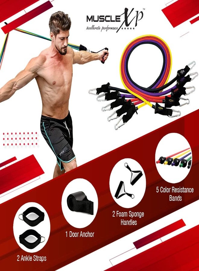 ماسل إكس بي مجموعة MuscleXP DrFitness+ الكاملة من 11 حزام مقاومة، 5 أحزمة مقاومة ملونة، مقبضان من الإسفنج، مثبت باب، حزامان للكاحل مع حقيبة حمل، أحزمة مقاومة للتمارين الرياضية للرجال والنساء - Image 5