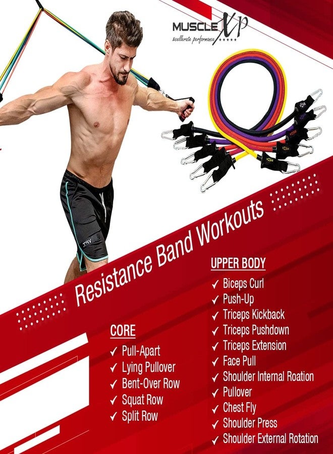 ماسل إكس بي مجموعة MuscleXP DrFitness+ الكاملة من 11 حزام مقاومة، 5 أحزمة مقاومة ملونة، مقبضان من الإسفنج، مثبت باب، حزامان للكاحل مع حقيبة حمل، أحزمة مقاومة للتمارين الرياضية للرجال والنساء - Image 3