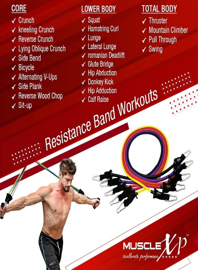 ماسل إكس بي مجموعة MuscleXP DrFitness+ الكاملة من 11 حزام مقاومة، 5 أحزمة مقاومة ملونة، مقبضان من الإسفنج، مثبت باب، حزامان للكاحل مع حقيبة حمل، أحزمة مقاومة للتمارين الرياضية للرجال والنساء - Image 4