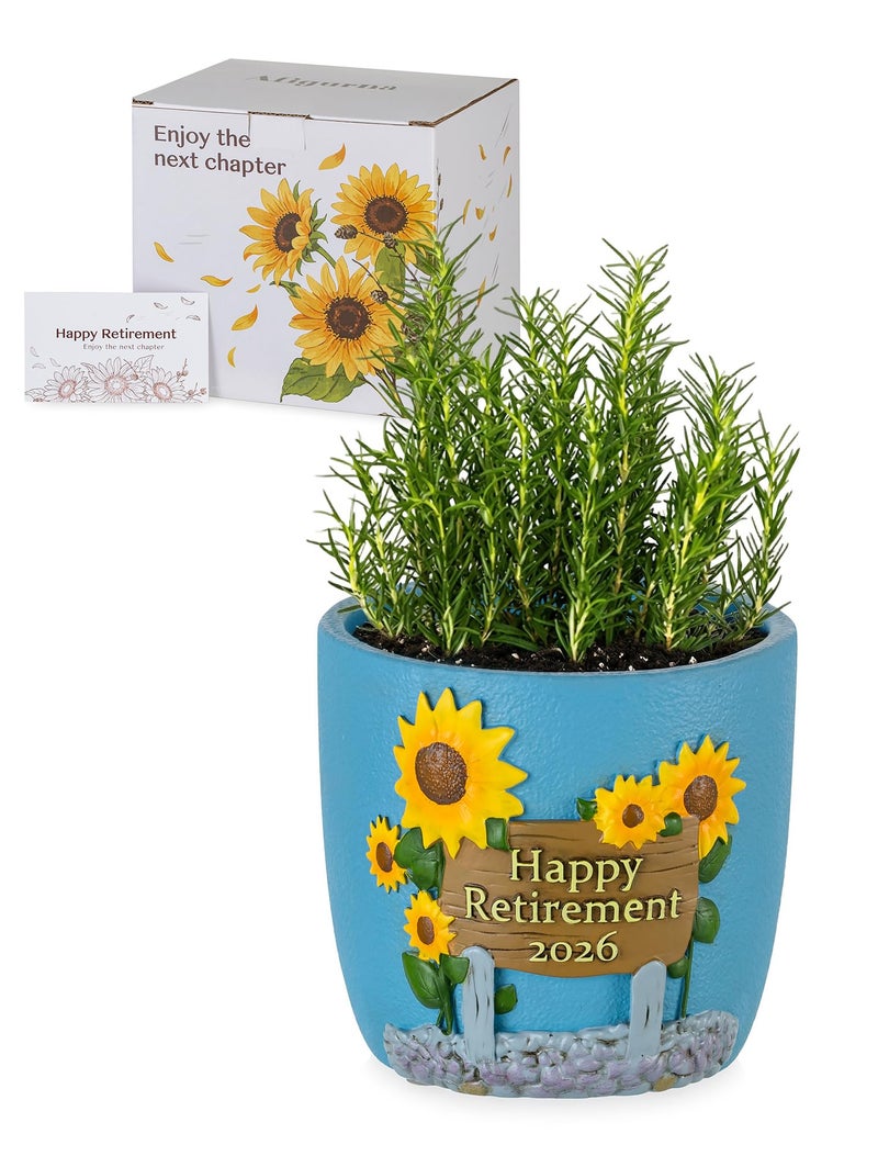 Afigurna Retirement Gifts for Woman Happy Retirement Gifts for Women Nurse Teacher Coworker Unique Retired Garden Gifts for Decoration HandPainted Plant Pot Present with Gift Box and Card - Image 2