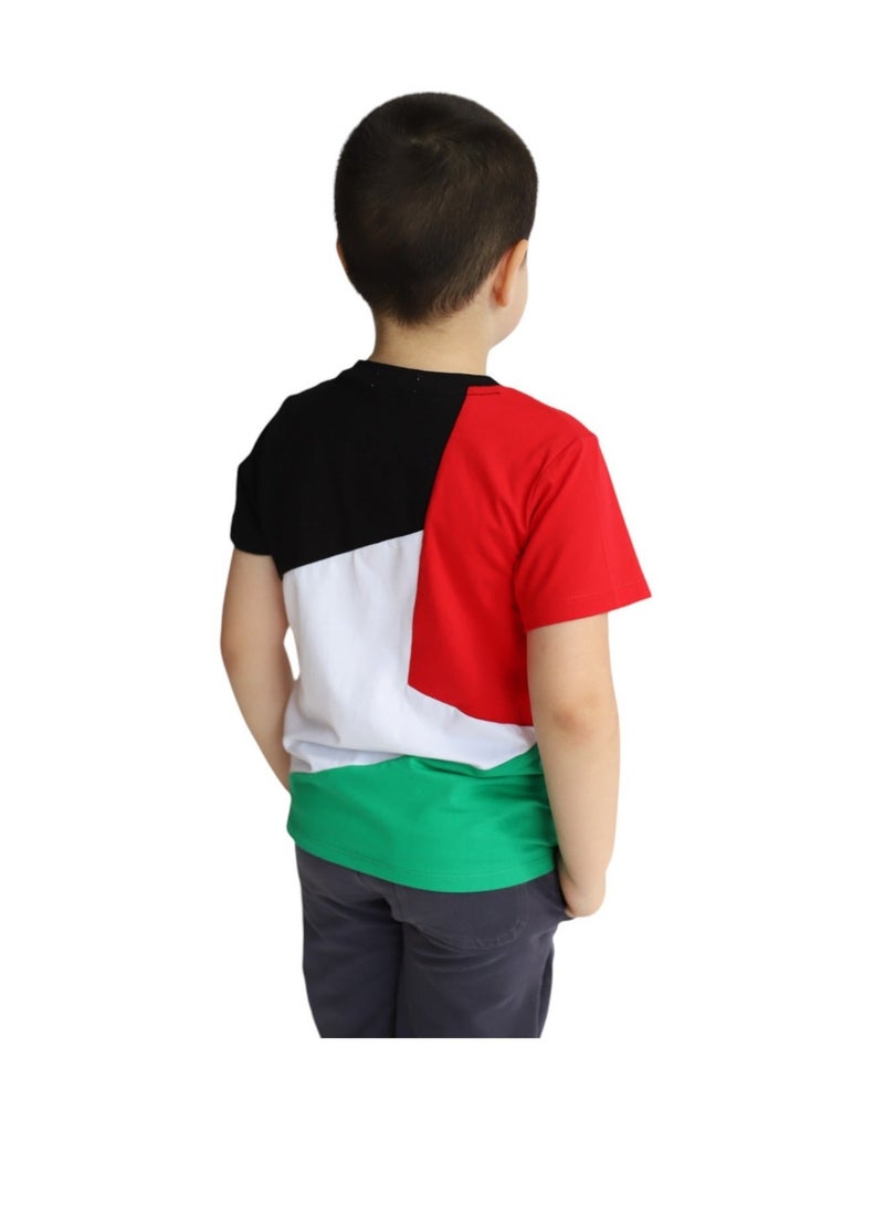 D'Daniela Palestine Flag Tshirt National Wear - Image 3