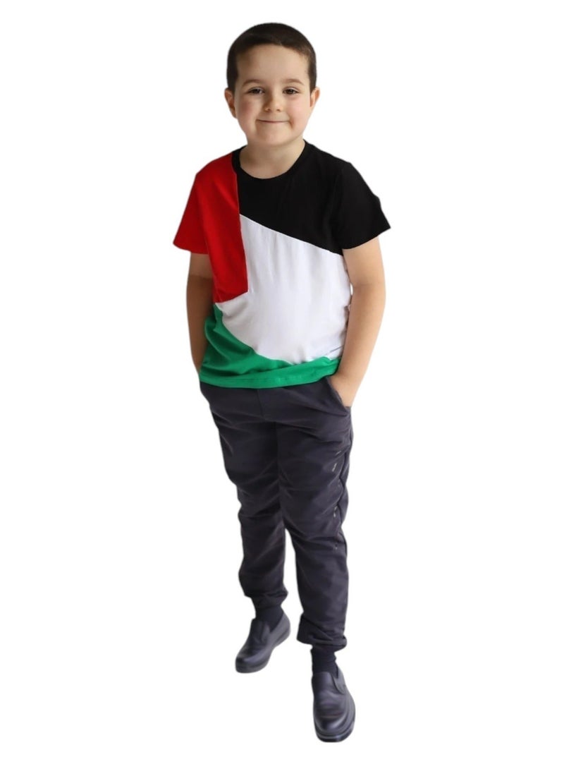 D'Daniela Palestine Flag Tshirt National Wear - Image 2