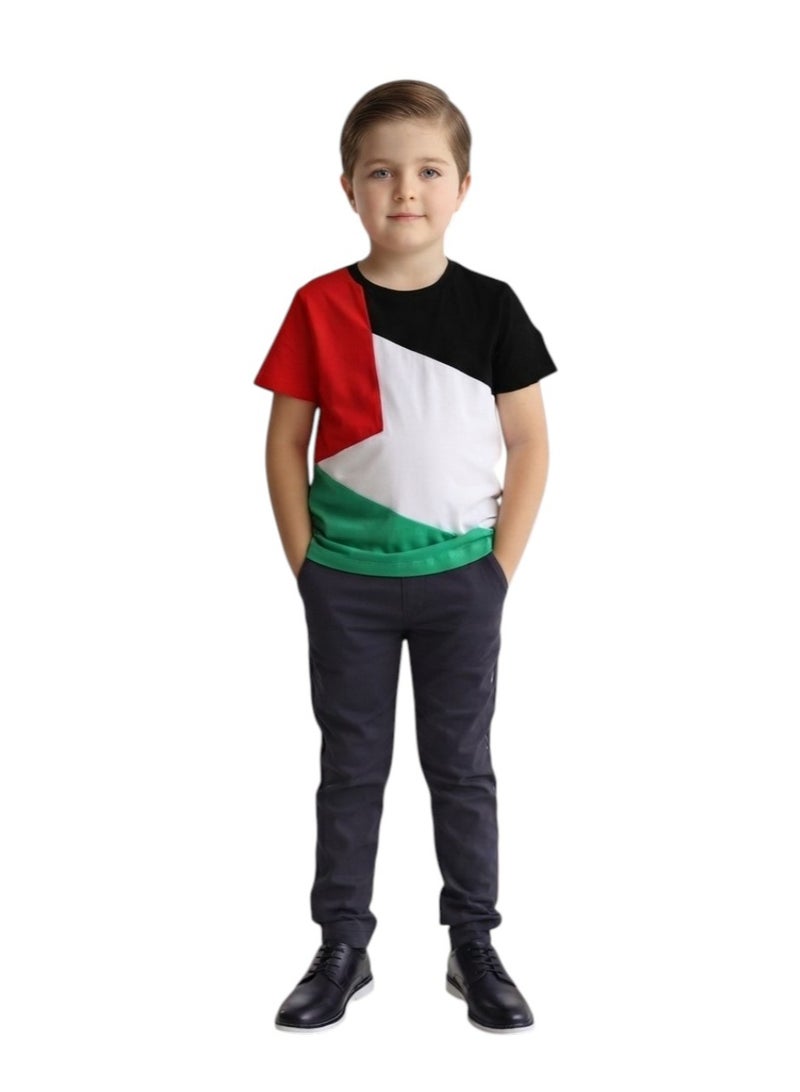 دانيال تي شيرت علم فلسطين، ملابس وطنية. - Image 1