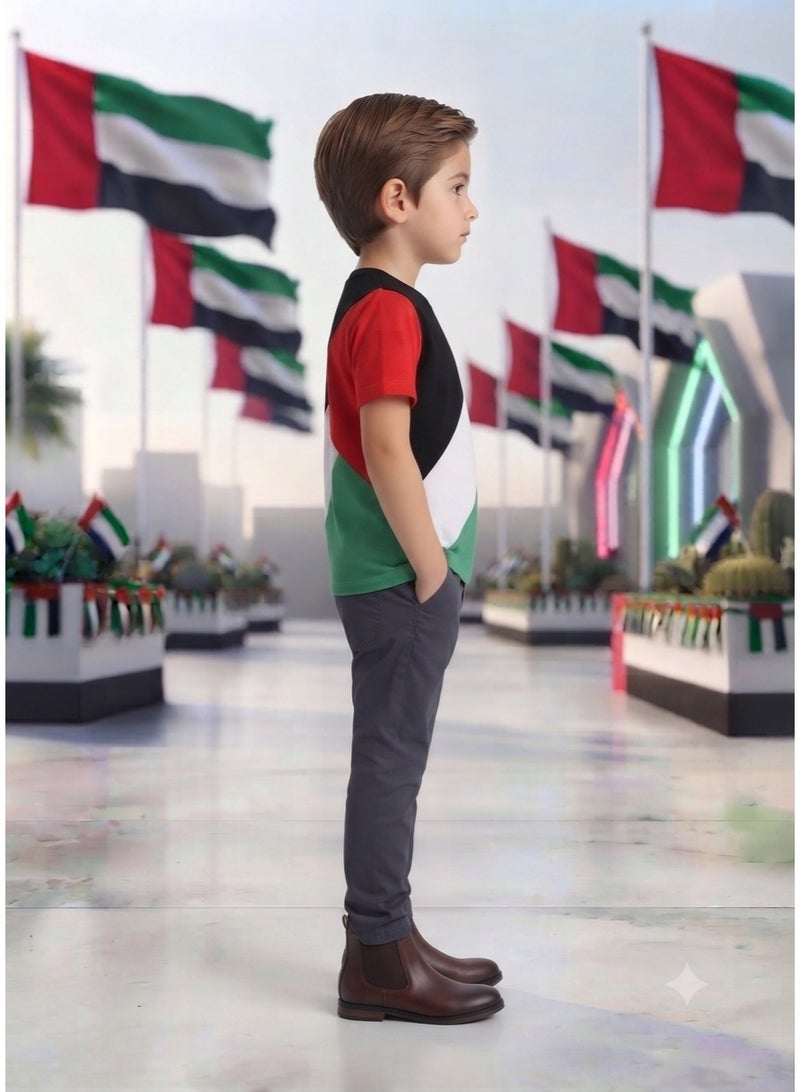 دانيال تي شيرت علم فلسطين، ملابس وطنية. - Image 2