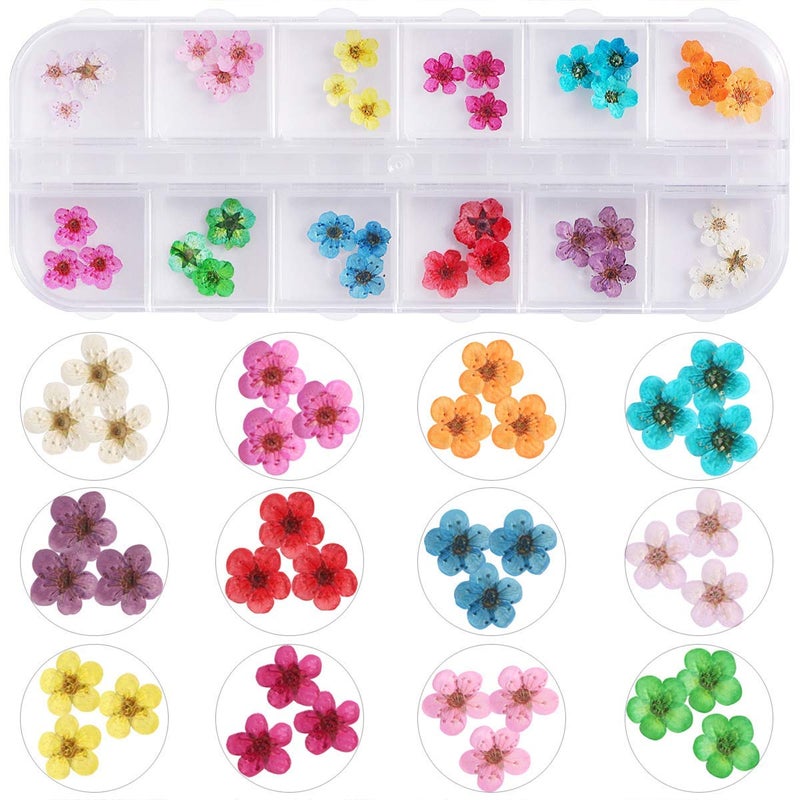 UNIME 12 Colors Dry Flowers Mini Real Natural Flowers Nail Art Supplies 3D Applique Nail Decoration Sticker for Tips Manicure Decor - Image 3